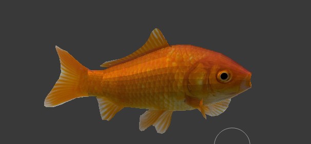 fish preview image 3